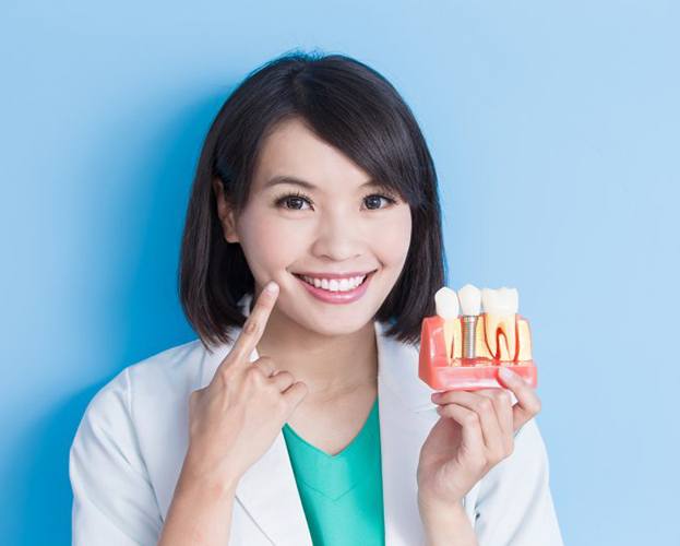 West Seneca implant dentist holding model of dental implants